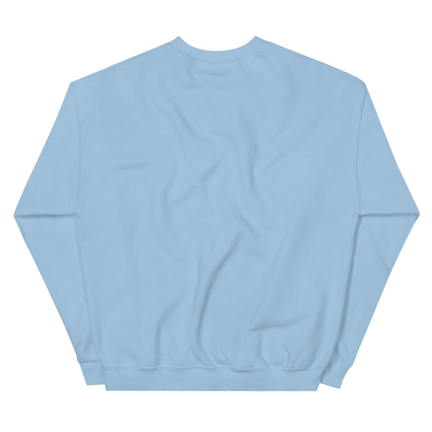 Pink Sweatshirt