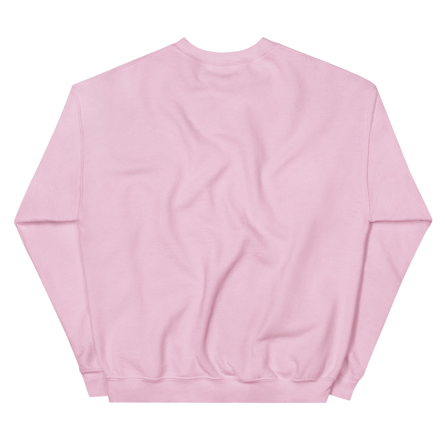 Pink Sweatshirt