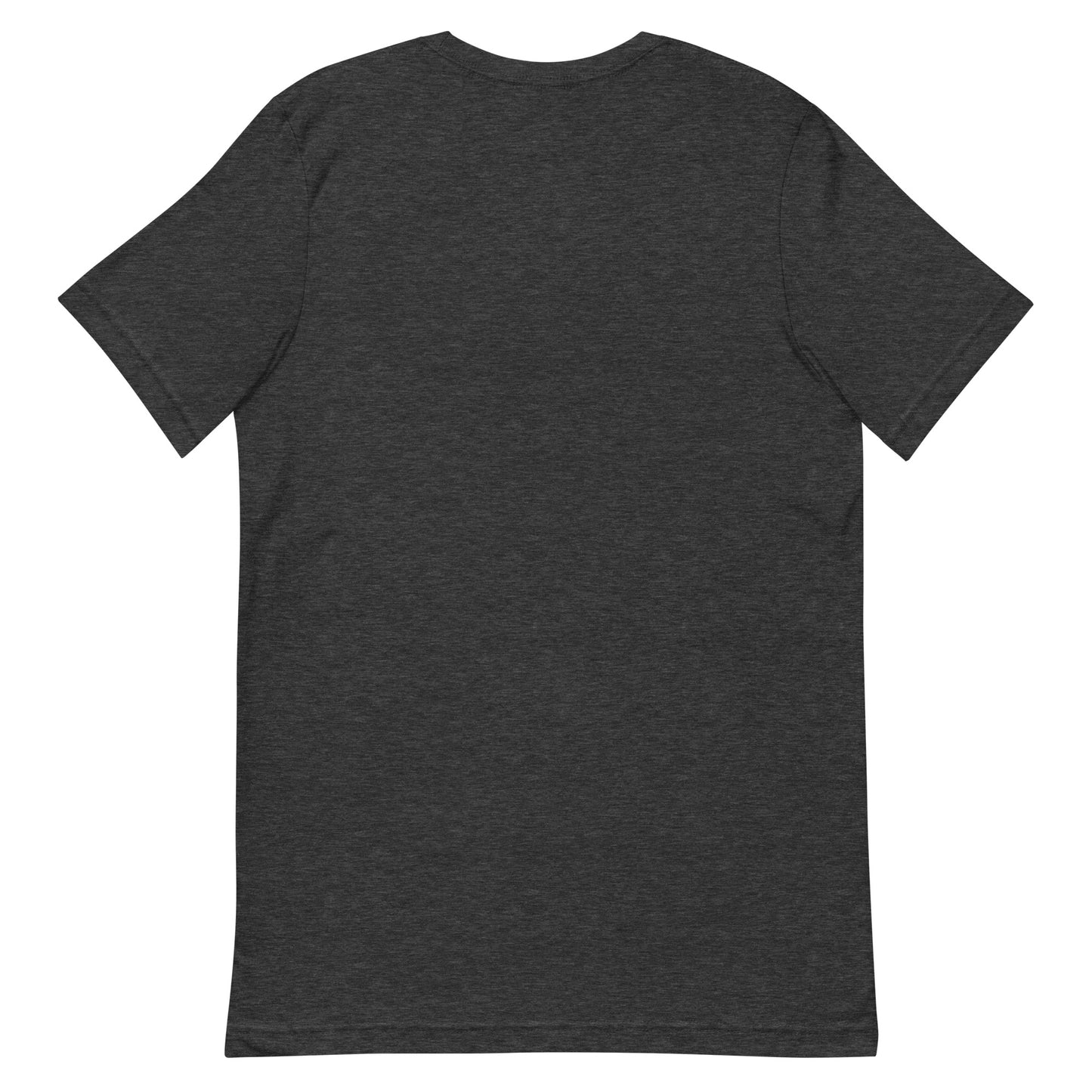Gray T-Shirt