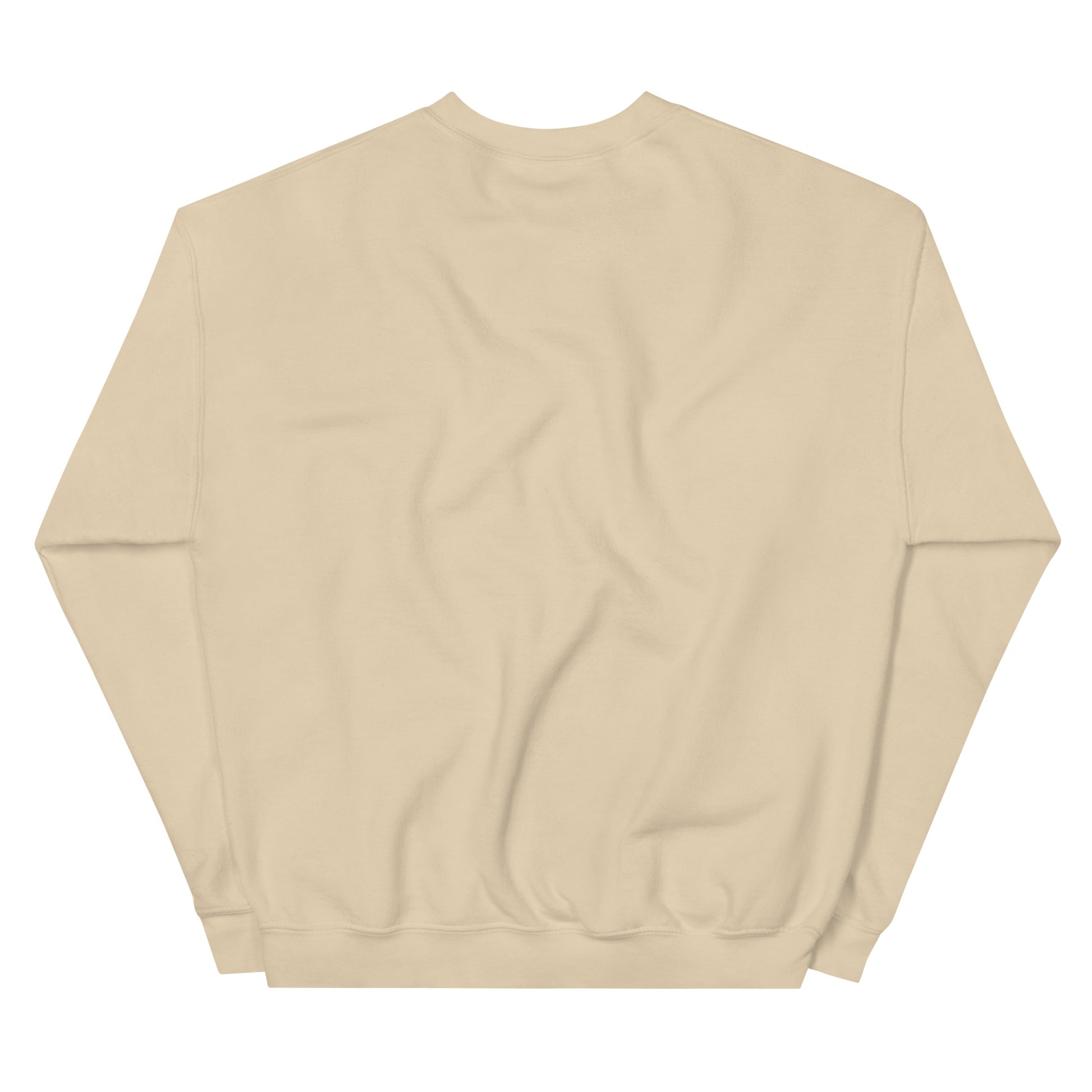 Pink Sweatshirt