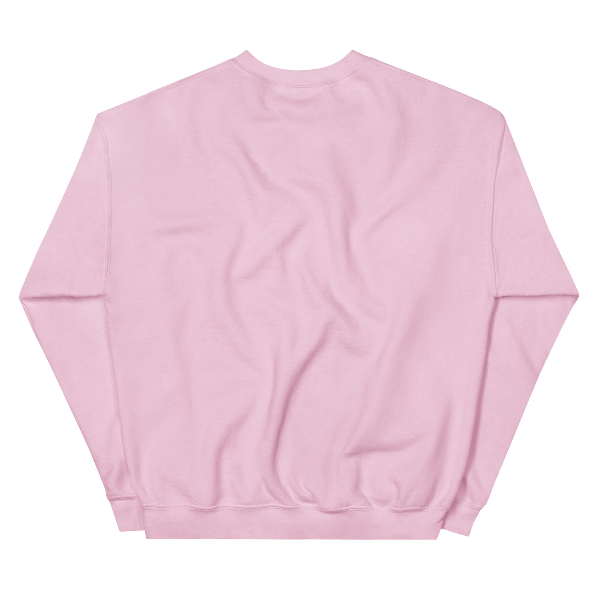 Pink Sweatshirt
